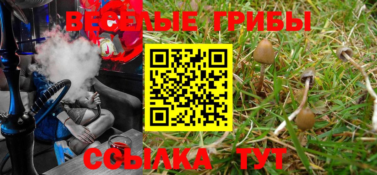 Галлюциногенные грибы Psilocybe  Вход с VPN  Галлюциногенные грибы GOLDEN TEACHER  Лесной 