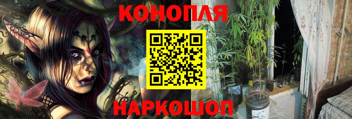 Шишки марихуана Ganja  Шишки марихуана LSD WEED  Лесной  Вход с VPN  Бошки Шишки SATIVA & INDICA  Конопля VHQ 